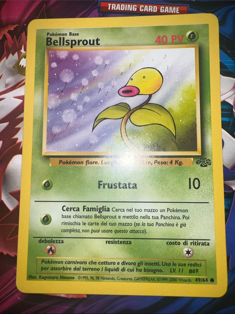 Pokemon Bellsprout Card — Yellow, Green, Pink, Purple